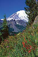 Mount Rainier Ntl park, Washington